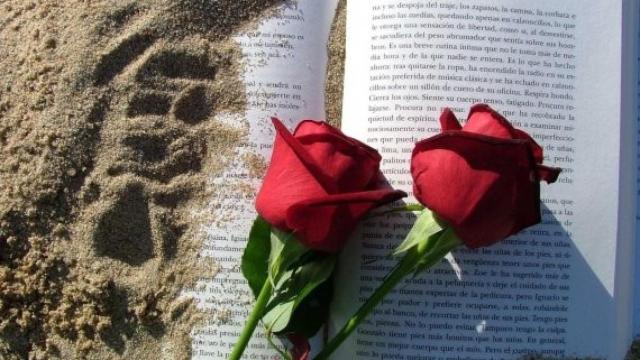 libro rosas_570x340