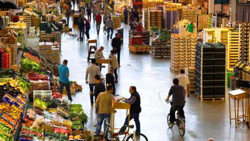 El mercat de fruites i hortalisses de Mercabarna / MERCABARNA