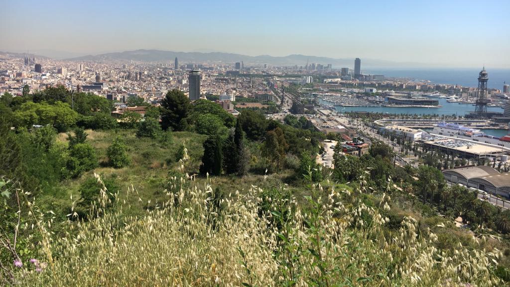 Vistas de Barcelona dede el mirador del alcalde, en Montjuïc / Marta Sánchez