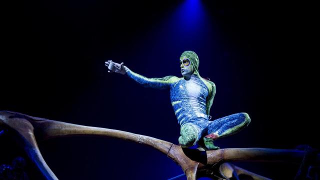 Una escena de TOTEM del Cirque du Soleil / HUGO FERNÁNDEZ
