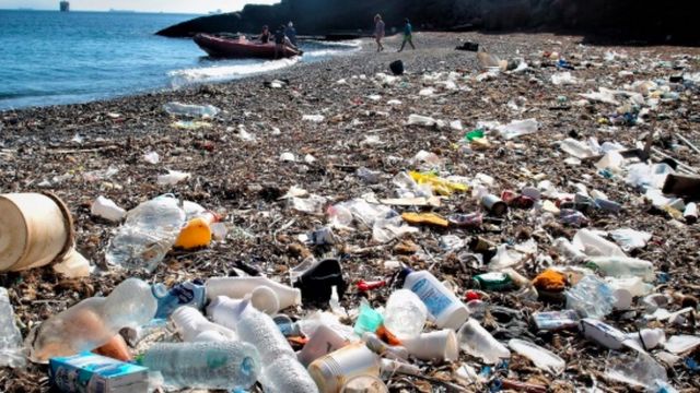 Residuos en primera línea del mar / EFE