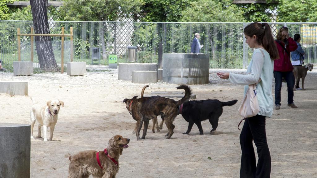 Imagen de archivo de vecinos con sus perros en un pipicán de Barcelona