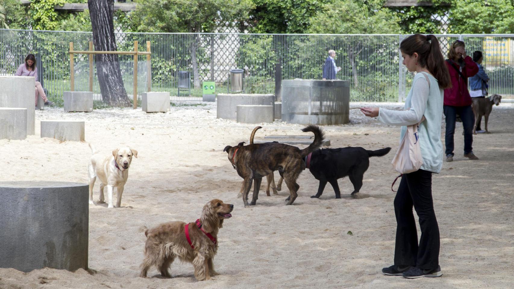 Vecinos con sus perros en un pipicán de Barcelona / HUGO FERNÁNDEZ