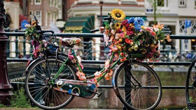 Ámsterdam es conocida como la capital de la bicicletas y pretende aniquilar los alquileres turísticos