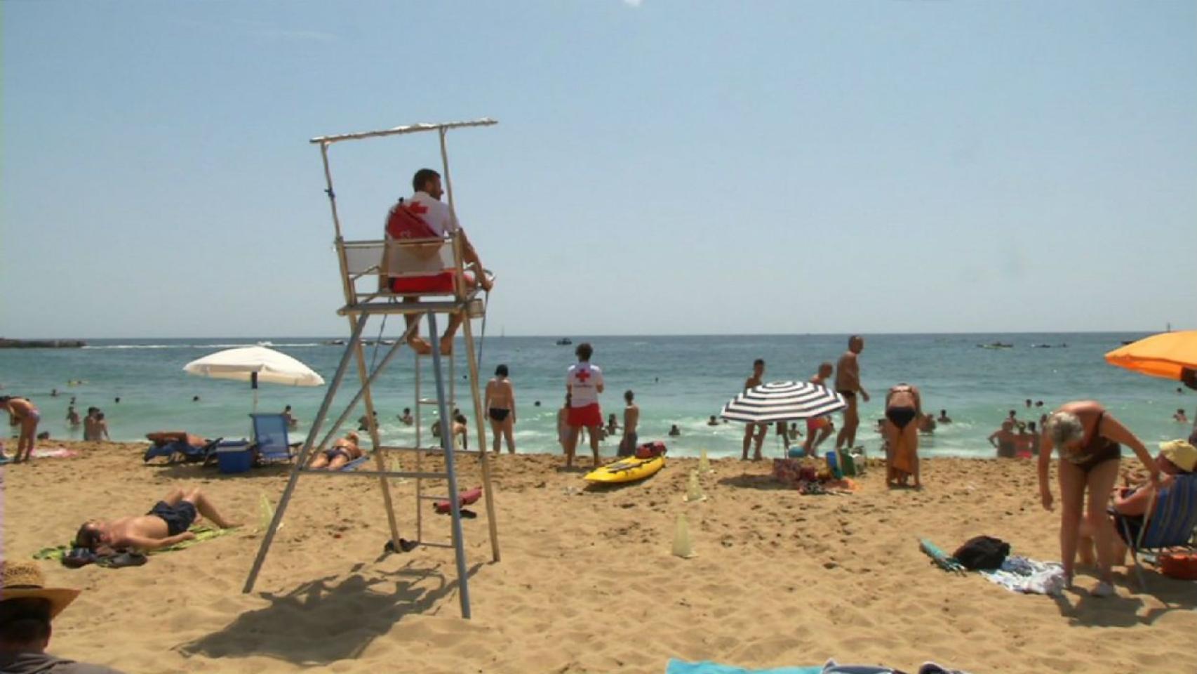 Un socorrista vigila una playa de Barcelona | AYUNTAMIENTO