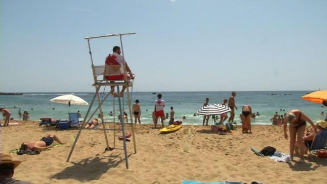 Un socorrista vigila una playa de Barcelona | AYUNTAMIENTO