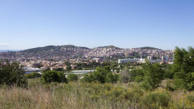 Una zona del parque de los Tres Turons, con viviendas al fondo / AYUNTAMIENTO DE BARCELONA