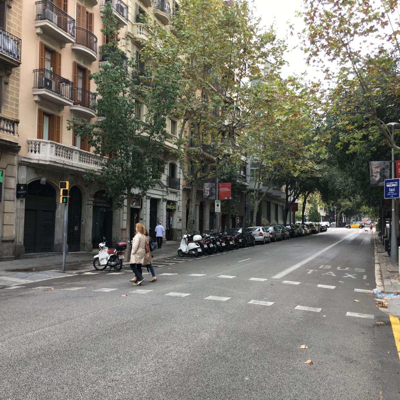 Pas de vianants del carrer Casanovas