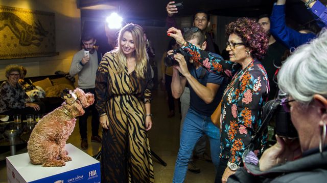 Un momento durante la Pets Party en el Hotel Claris / HUGO FERNÁNDEZ