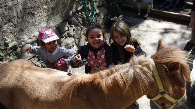 Tres niños junto a un poni, en el parque de la Oreneta, en Barcelona