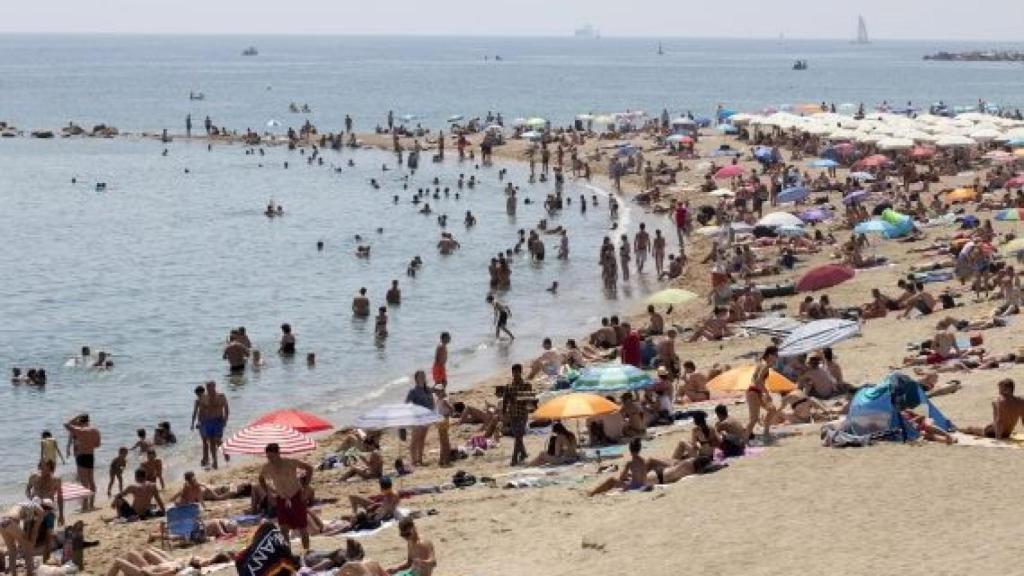 Banyistes a la platja de la Barceloneta 