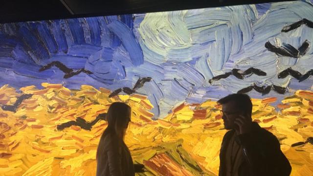 Visitantes disfrutando en la exposición inmersiva de 'Meet Vincent Van Gogh' / PAULA BALDRICH