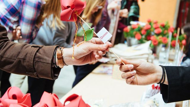 Sant Jordi Musical 2019 - Rosas solidarias