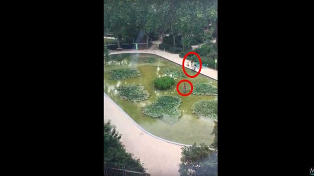 Vídeo de los ciclistas cruzando el lago del Turó Park / MA