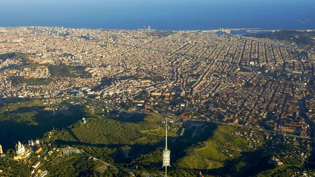 La sierra de Collserola está ubicada en la parte alta de Barcelona y cuenta con 8.000 hectáreas de superficie