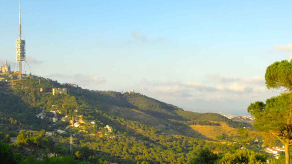 Vista del Parc de Collserola