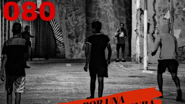 Ejemplo de uno de los carteles promovidos por la plataforma Salvalona