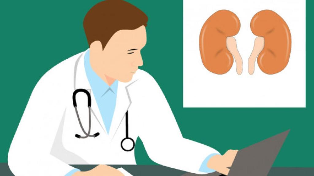 Consulta dels ronyons / Arxiu