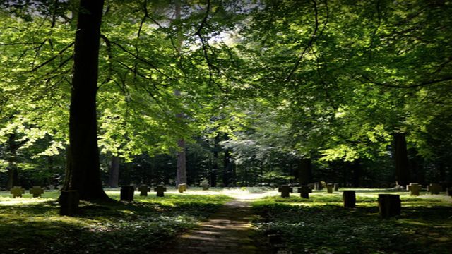 Electium ofrece servicios para cuidar todos los detalles de un funeral