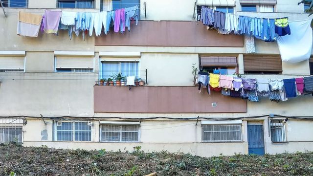 Árboles talados en Ciutat Meridiana