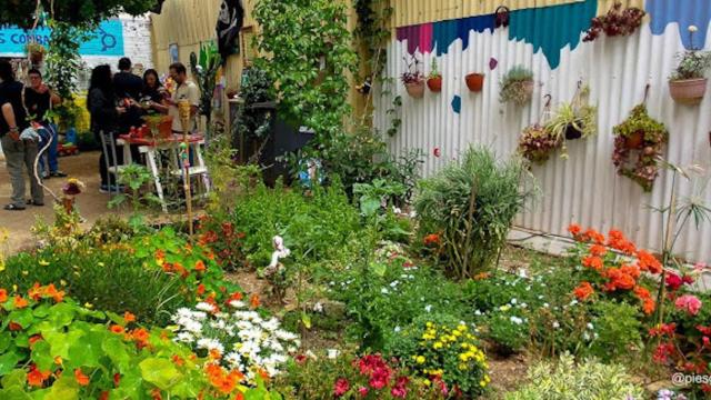 Imagen de archivo del huerto 'Date una huerta' / ARCHIVO