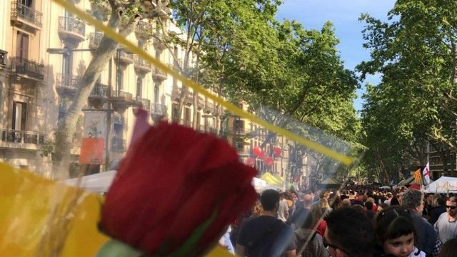 Barcelona en una diada de Sant Jordi / AV