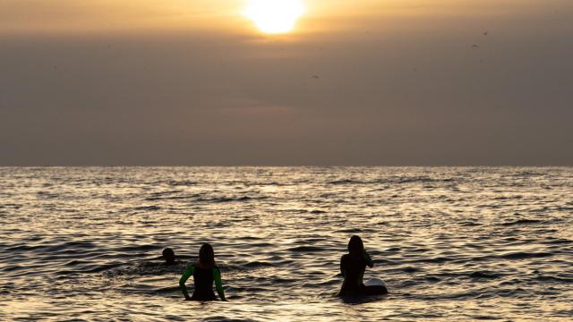 Varias personas hacen surf en la playa del Bogatell de Barcelona / EFE - ENRIC FONTCUBIERTA