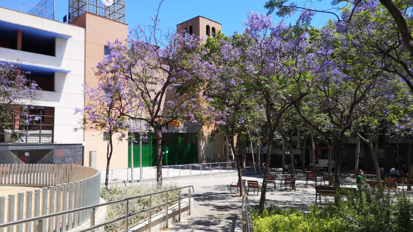 La plaza de la Trinitat Vella, en una imagen tomada este mayo de 2020