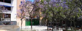 La plaza de la Trinitat Vella, en una imagen tomada este mayo de 2020 / GUILLEM ANDRÉS