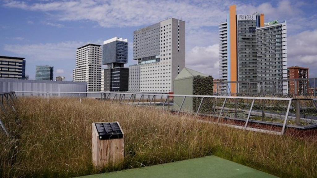 Tercer viu, la primera cubierta verde silvestre de Barcelona