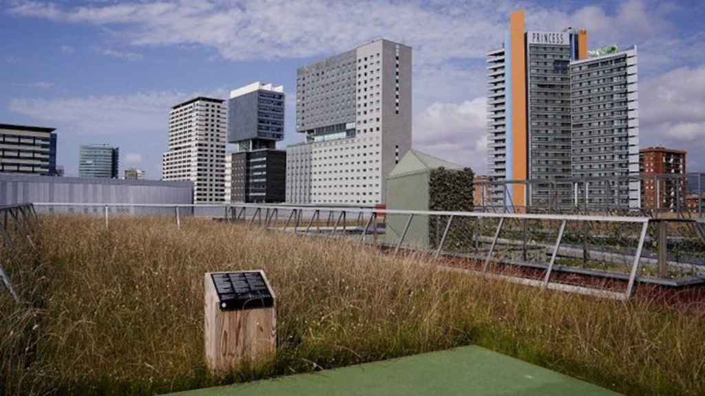 Terrat viu, la primera cubierta verde silvestre de Barcelona