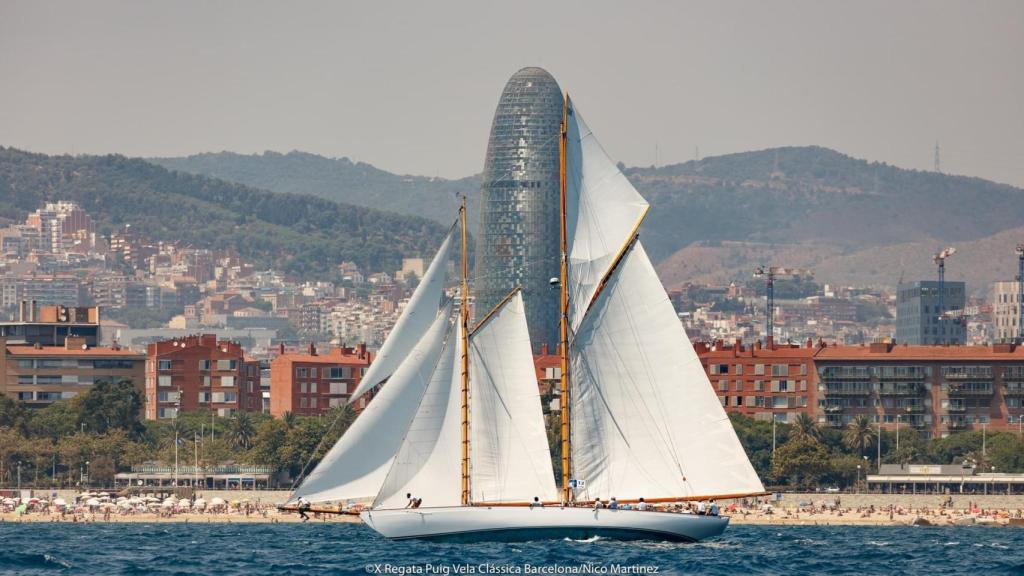 Imatge de la XIª edició de la regata Puig Vela Clàssica Barcelona / WEB OFICIAL