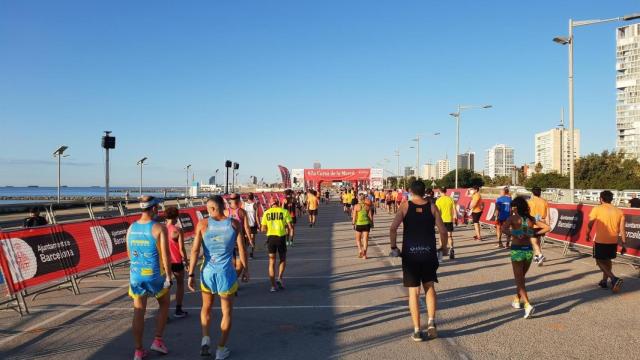 Corredores en la Cursa de la Mercè / AJ BCN