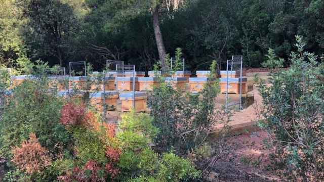 Las sepulturas para la comunidad musulmana estarán listas en mayo de 2021 / CONSELL COMARCAL DEL BAIX LLOBREGAT