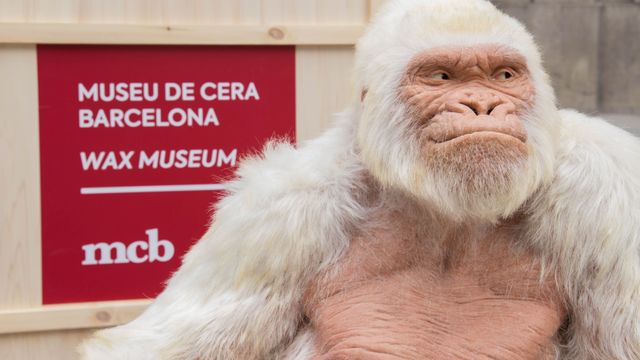 Figura de cera de copito de Copito de Nieve / MUSEO DE CERA BARCELONA