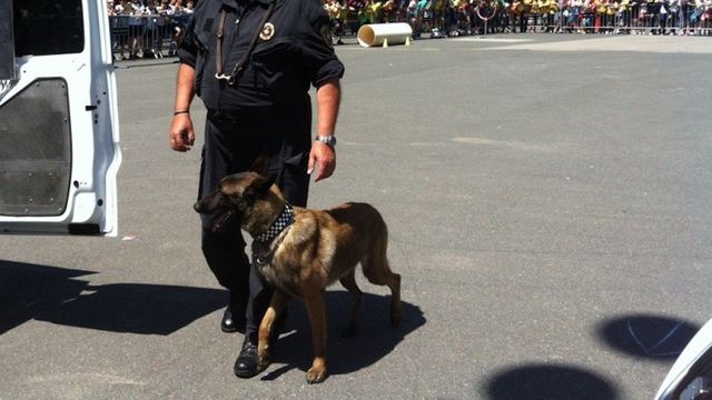 Un perro de la Guardia Urbana, a punto de subir a una furgoneta / AYUNTAMIENTO DE BARCELONA