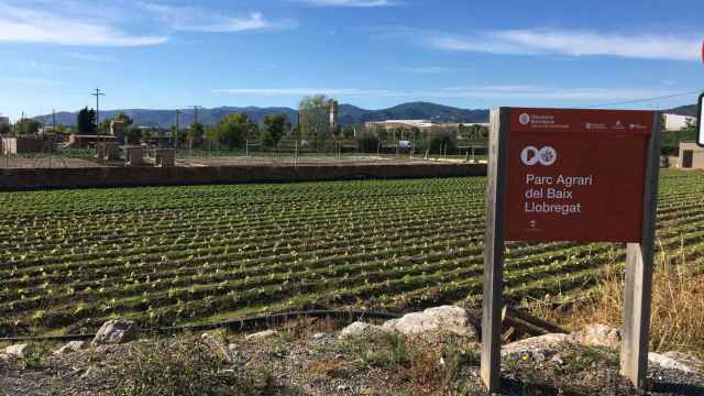 Terrenos del Parc Agrari del Baix Llobregat en Viladecans