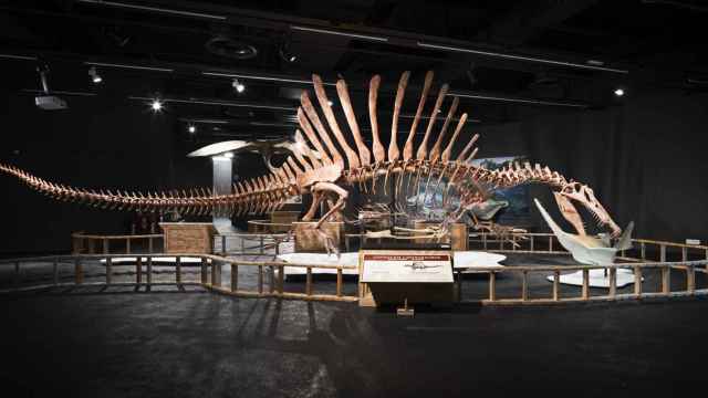 Interior del Museo de Ciencias Naturales de Barcelona / MUSEU CIÈNCIES NATURALS