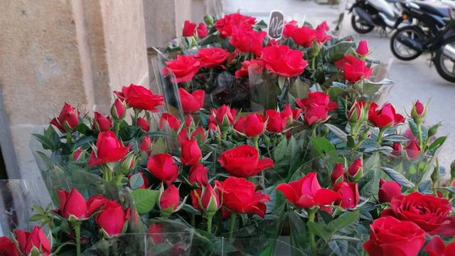 Rosas de Sant Jordi de las mejores floristerías de Barcelona / HERBS