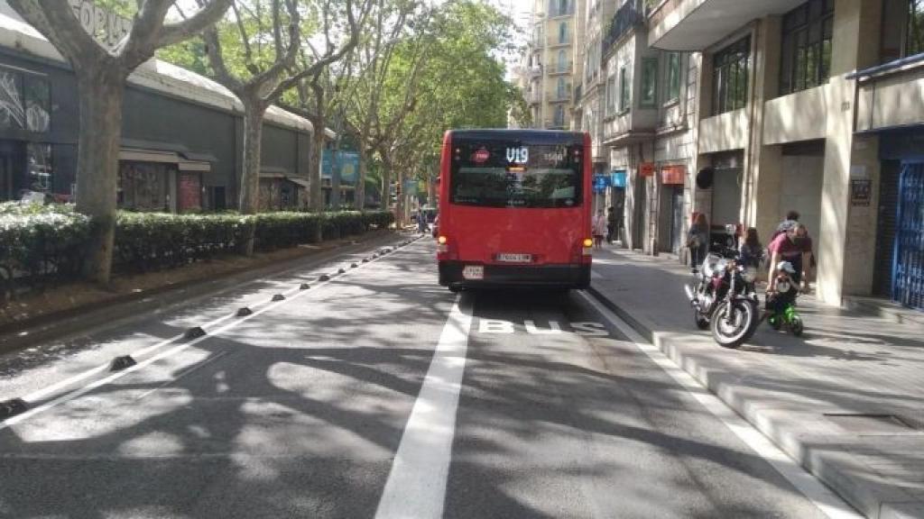 Un bus de TMB parado en el carril bus del paseo de Sant Joan, con parte del vehículo fuera / METRÓPOLI - JORDI SUBIRANA