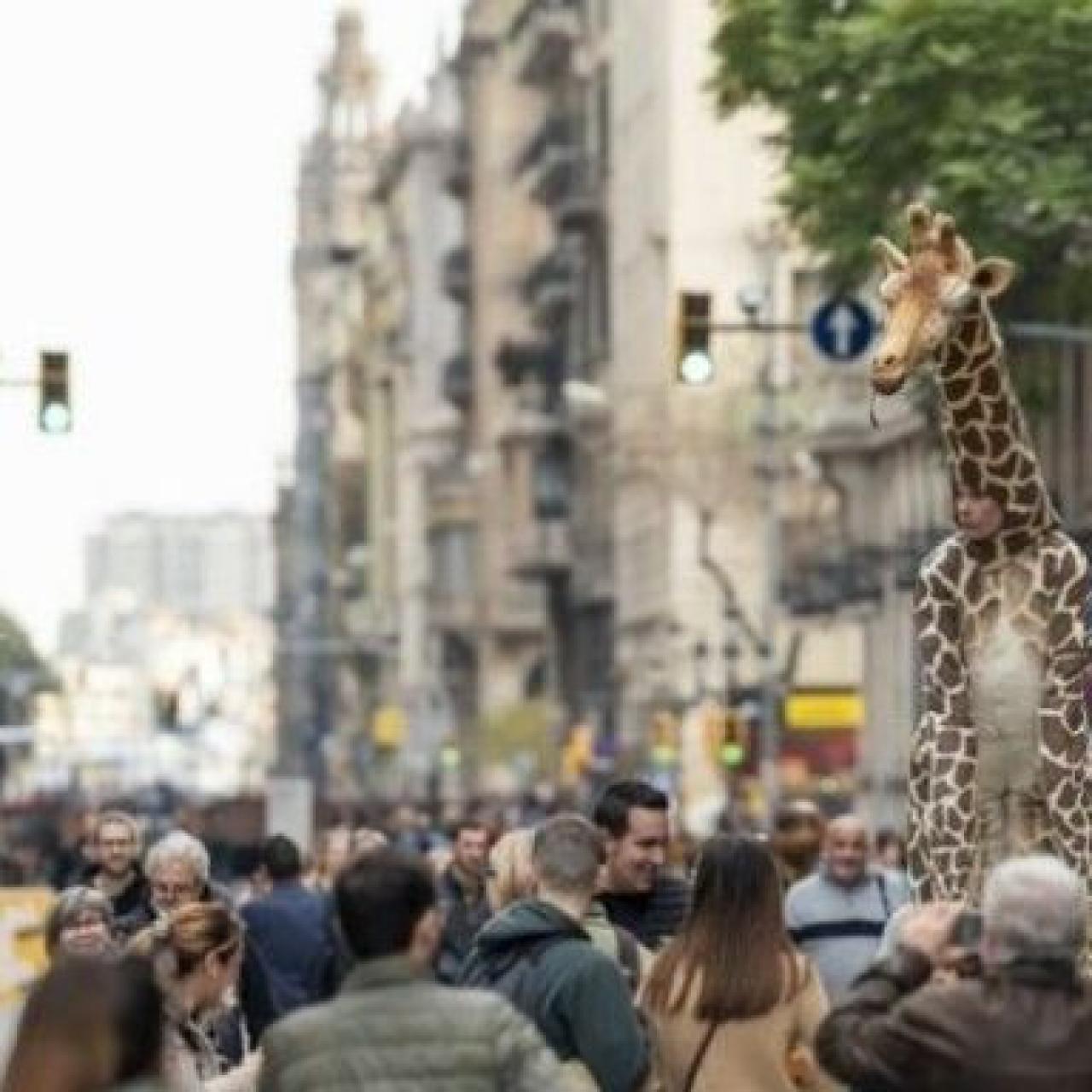 Carrer tallat al trànsit pel programa 'Obrim Carrers' / AJ BCN