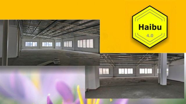 Las nuevas casas colmena deberían ir en esta nave del Eixample / HAIBU