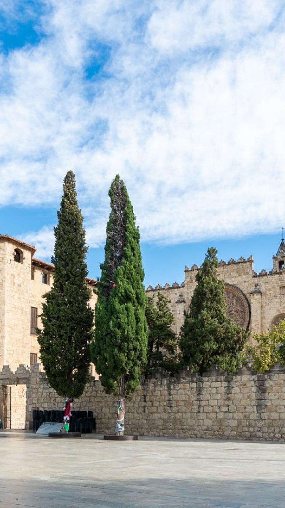 Monasterio de Sant Cugat /
