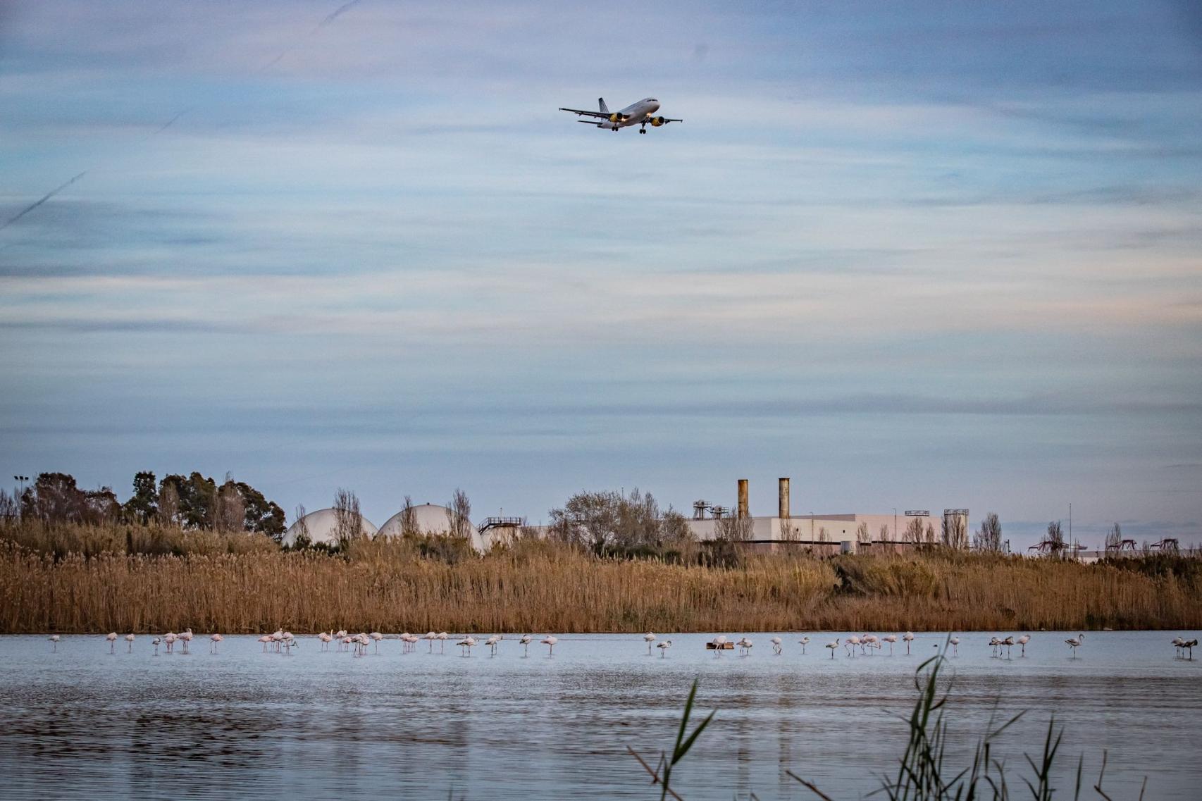 Un avión sobrevolando la zona ZEPA del Delta de Llobregat