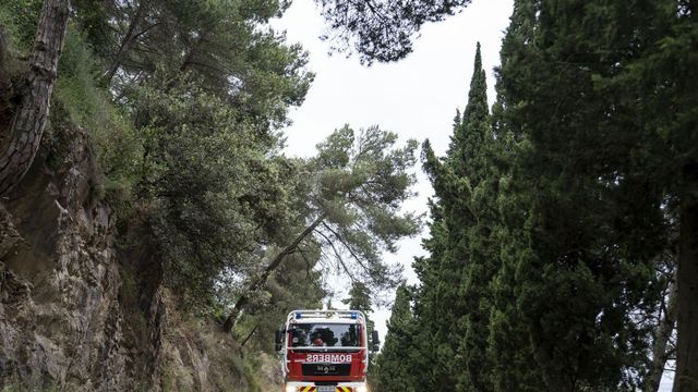 Un camión de los Bombers de Barcelona circula por Collserola / AYUNTAMIENTO DE BARCELONA