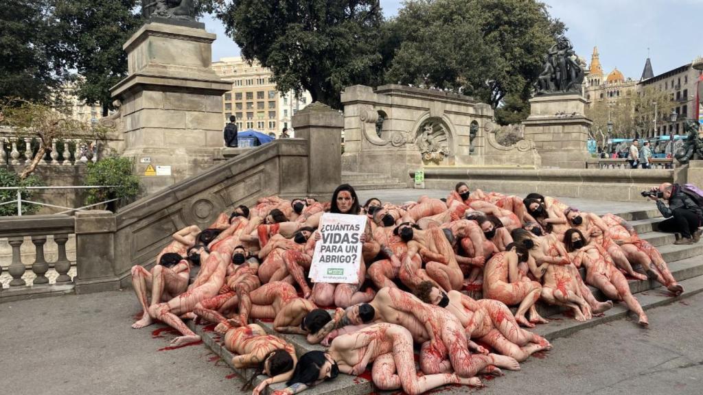 Manifestantes se desnudan en contra de las granjas peleteras / ANIMA NATURALIS