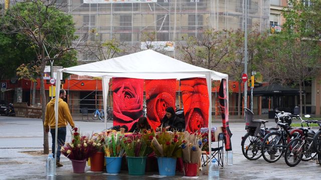 Una parada de venta de rosas inicia la jornada en la mañana de la 'diada' de Sant Jordi / Luis Miguel Añón