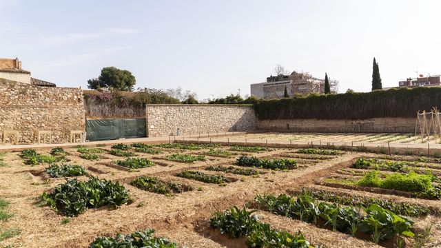 El huerto medieval del Monestir de Pedralbes / AYUNTAMIENTO DE BARCELONA