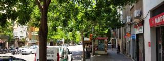 Una acera llena de árboles en Barcelona / METRÓPOLI