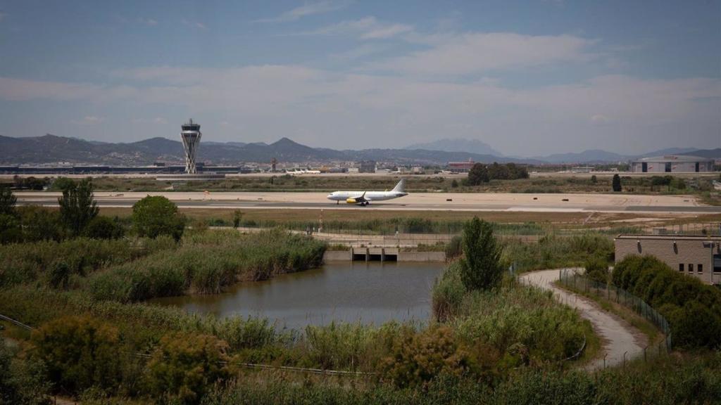 Un avión en la pista de aterrizaje del aeropuerto de Barcelona, junto al Delta del Llobregat